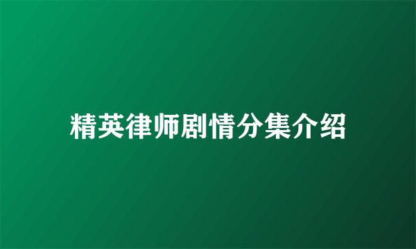 精英律师剧情分集介绍