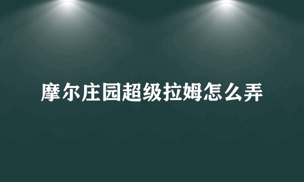 摩尔庄园超级拉姆怎么弄