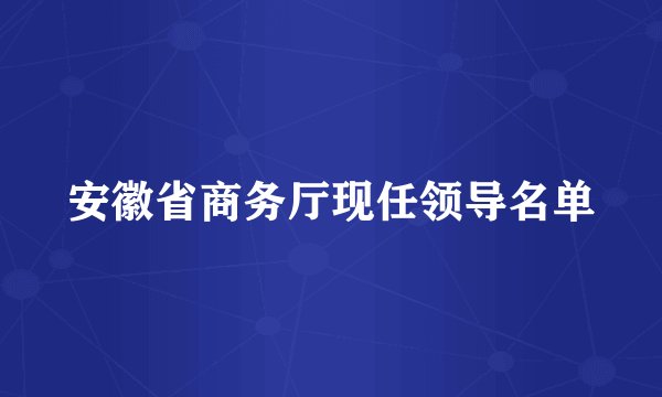 安徽省商务厅现任领导名单