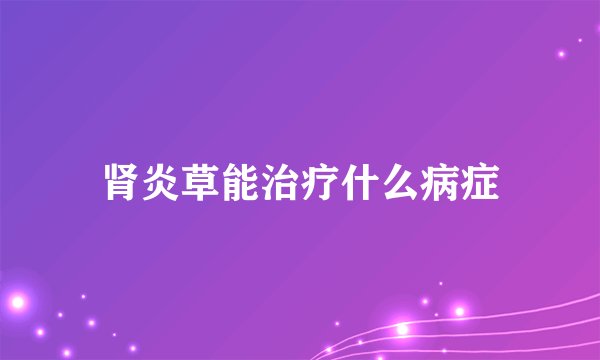 肾炎草能治疗什么病症