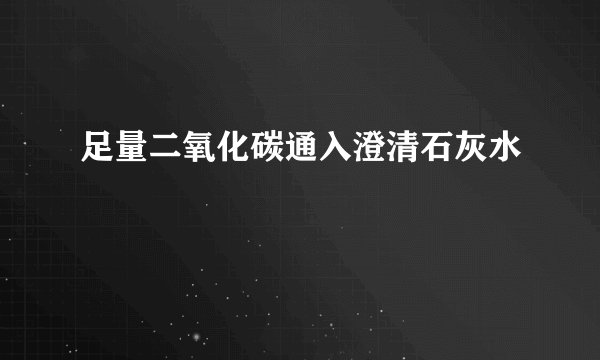 足量二氧化碳通入澄清石灰水