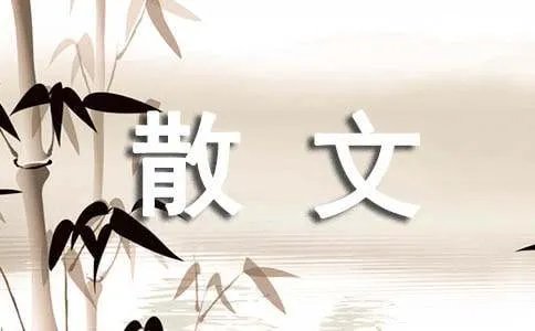 静夜阑珊散文