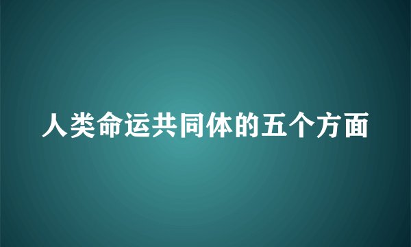 人类命运共同体的五个方面