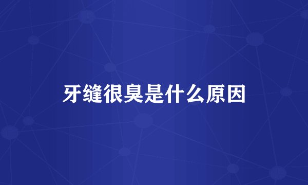 牙缝很臭是什么原因