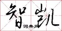 智凯