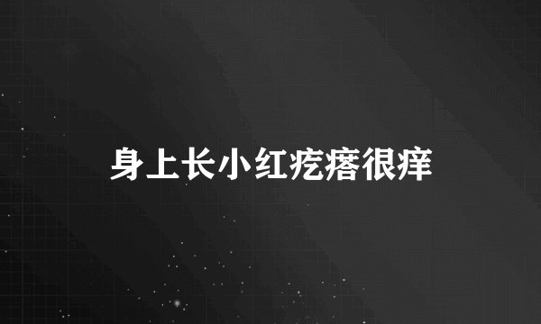 身上长小红疙瘩很痒