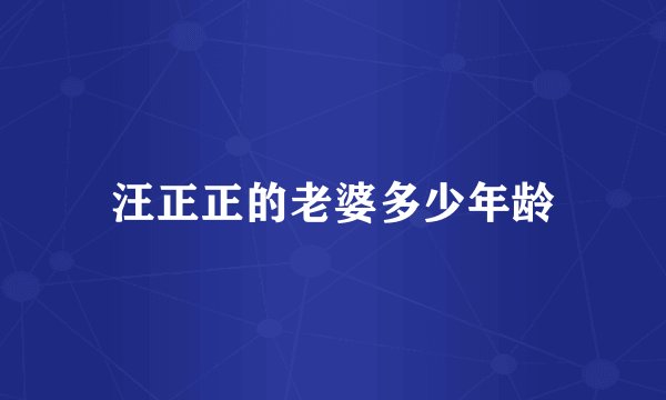 汪正正的老婆多少年龄