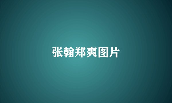 张翰郑爽图片