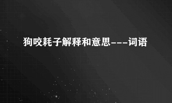 狗咬耗子解释和意思---词语