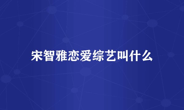 宋智雅恋爱综艺叫什么
