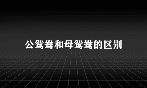 公鸳鸯和母鸳鸯的区别