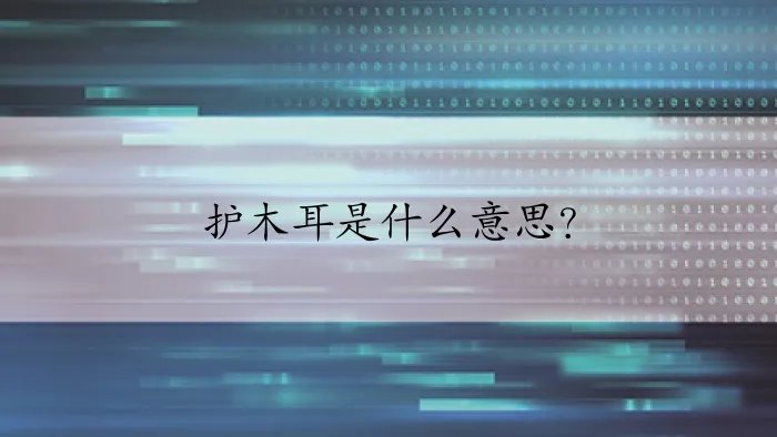 护木耳是什么意思？