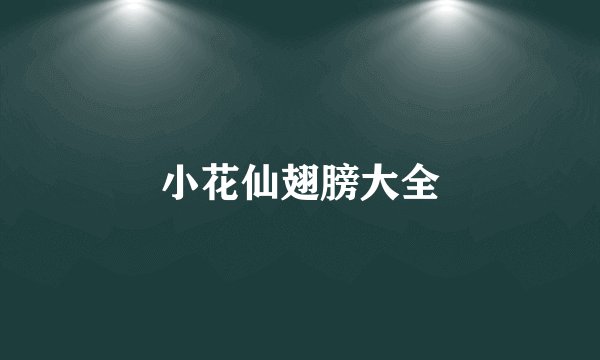 小花仙翅膀大全