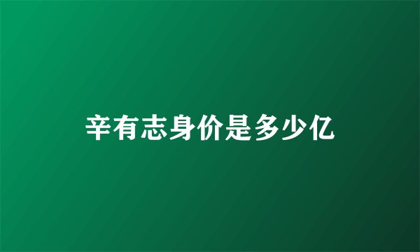 辛有志身价是多少亿