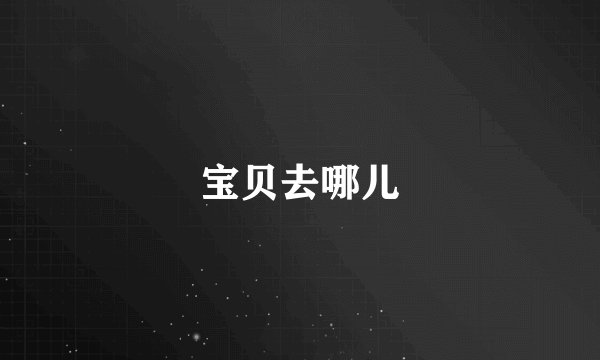 宝贝去哪儿