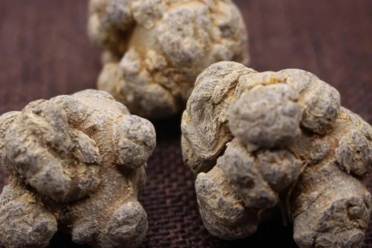 扭伤草药图片大全和名称