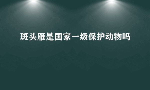 斑头雁是国家一级保护动物吗
