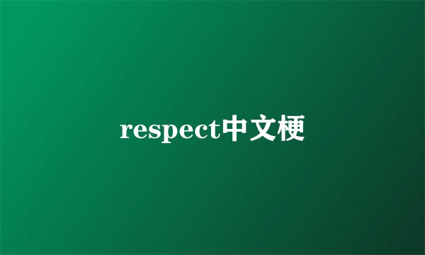 respect中文梗