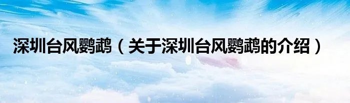深圳台风鹦鹉（关于深圳台风鹦鹉的介绍）
