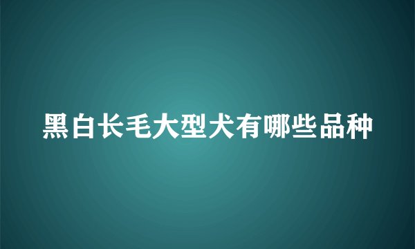黑白长毛大型犬有哪些品种