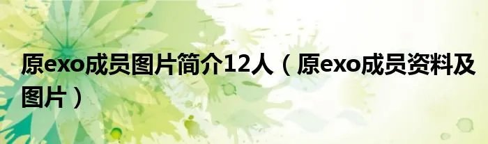 原exo成员图片简介12人(原exo成员资料及图片)