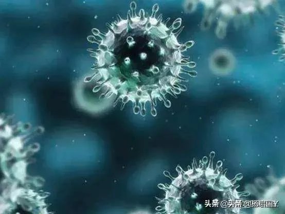 疫情是不是不能结束了?