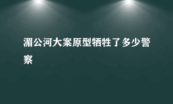 湄公河大案原型牺牲了多少警察