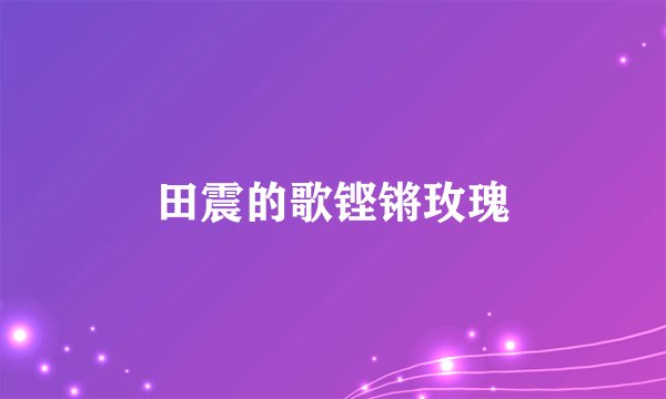 田震的歌铿锵玫瑰