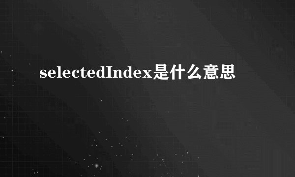 selectedIndex是什么意思