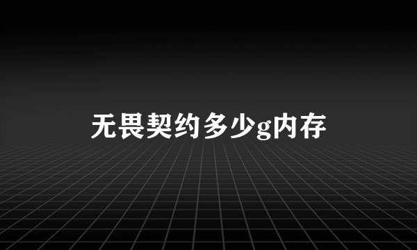 无畏契约多少g内存