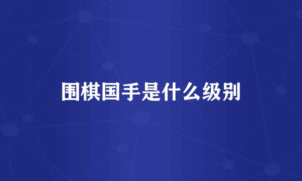 围棋国手是什么级别