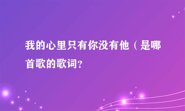 我的心里只有你没有他（是哪首歌的歌词？