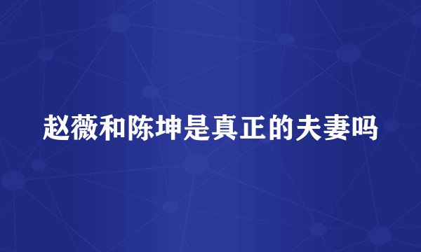 赵薇和陈坤是真正的夫妻吗