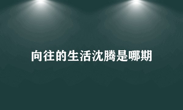 向往的生活沈腾是哪期