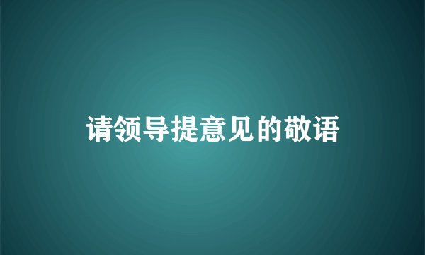 请领导提意见的敬语