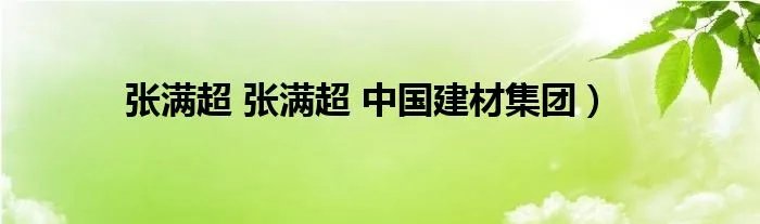 张满超 张满超 中国建材集团）