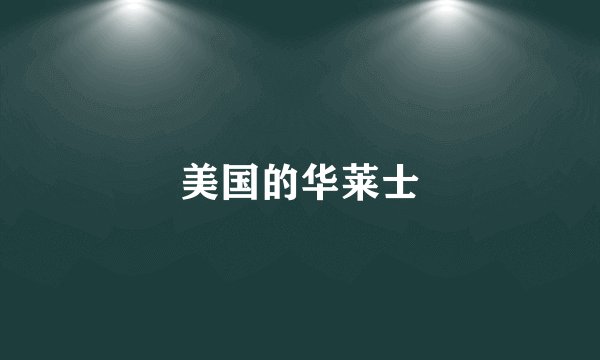 美国的华莱士