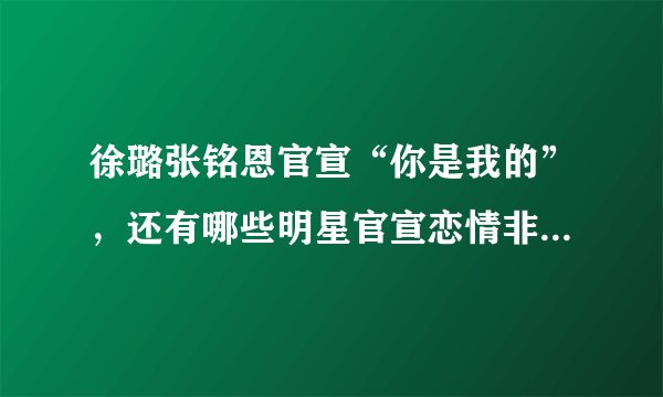 徐璐张铭恩官宣“你是我的”，还有哪些明星官宣恋情非常有趣？