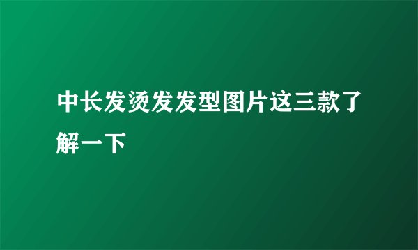 中长发烫发发型图片这三款了解一下