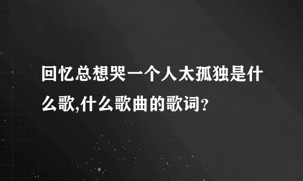 回忆总想哭一个人太孤独是什么歌,什么歌曲的歌词?