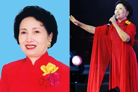歌唱家被撞骨折住院接受采访 贠恩凤呼吁大家注意交通安全