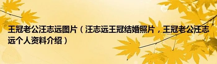王冠老公汪志远图片(汪志远王冠结婚照片,王冠老公汪志远个人资料介绍)