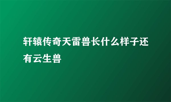 轩辕传奇天雷兽长什么样子还有云生兽