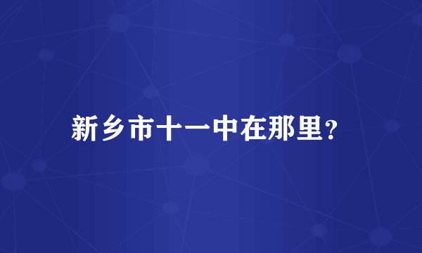 新乡市十一中在那里？