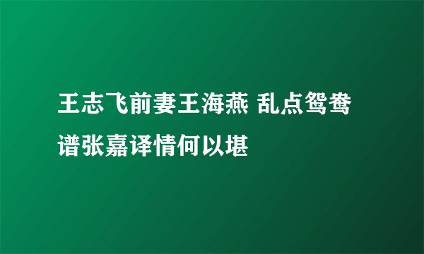 王志飞前妻王海燕 乱点鸳鸯谱张嘉译情何以堪