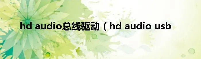 hd audio总线驱动(hd audio usb