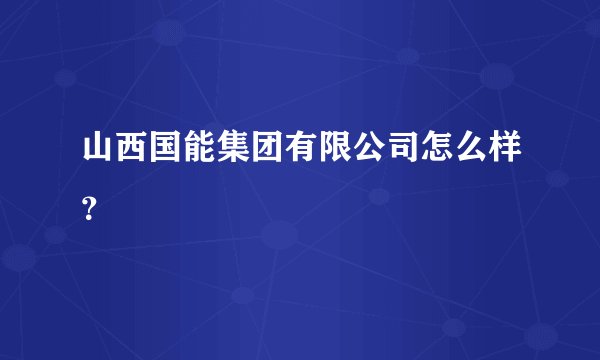 山西国能集团有限公司怎么样？