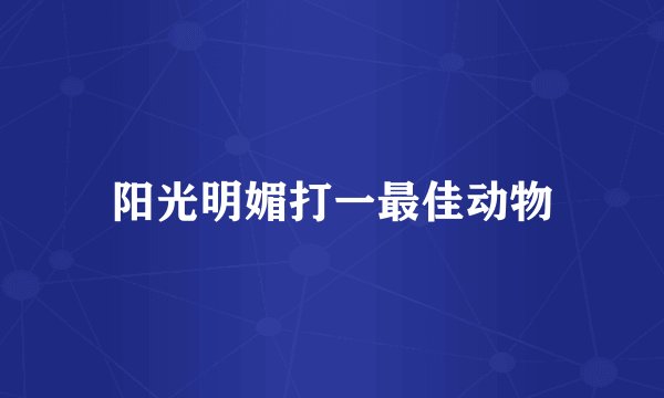 阳光明媚打一最佳动物