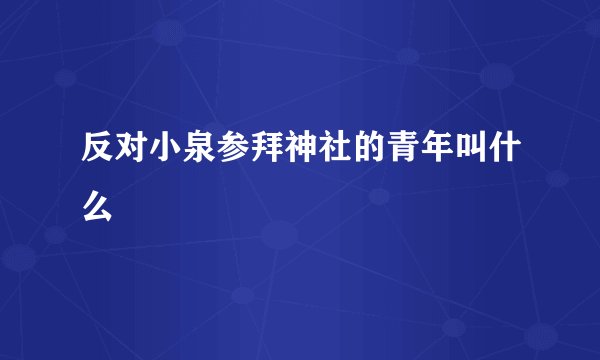 反对小泉参拜神社的青年叫什么