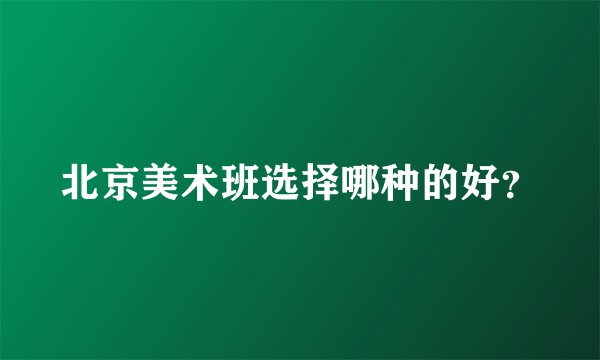 北京美术班选择哪种的好？